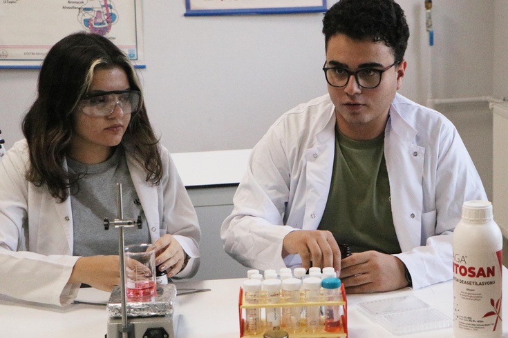 Their grandmother's bedsores inspired them! High school students developed a wound gel from tarantula venom