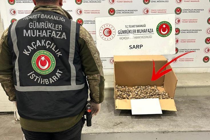 Bunun da kaçakçılığı yapılıyormuş!