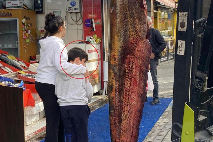 Dükkanın önüne asılan 3 metrelik balığı görenler telefona sarıldı