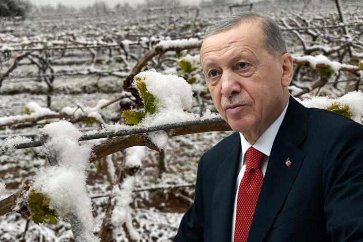 Bu yıl sıkıntı yaşayacağız diyen Cumhurbaşkanı Erdoğan, o ürünleri tek tek saydı
