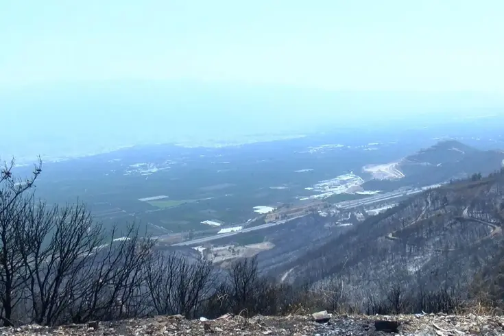 Bursa’da orman yangınlarının ardından 'hava kirliliği' alarmı: Şikayetler yüzde 30 arttı