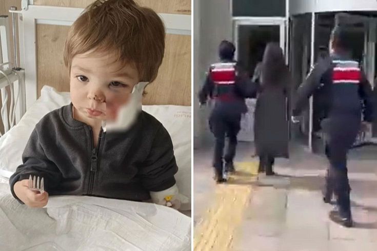 İki kardeşi yaralayan pitbullun sahibinden pişkin savunma