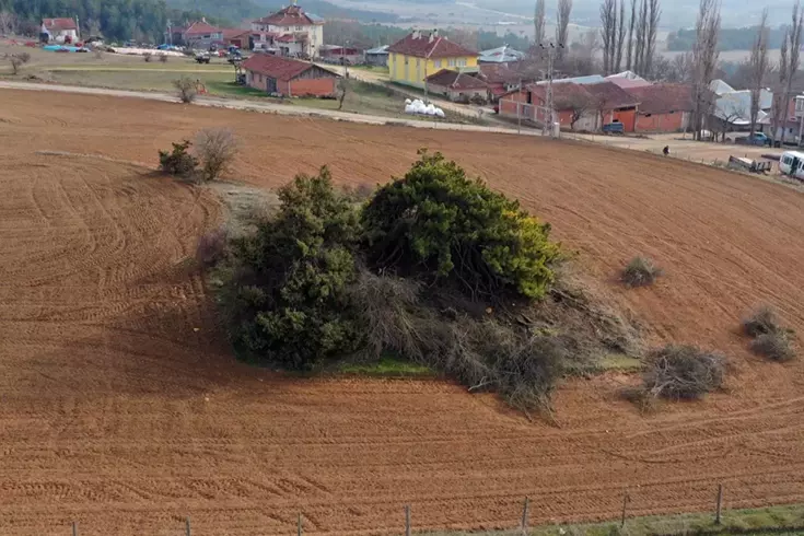 Dışardan bakınca basit bir çalılık içi ise adeta cennet! Asırlara meydan okuyor