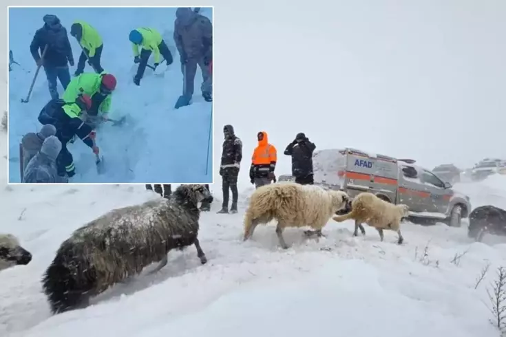 Artvin'deki çığ felaketinden acı haber geldi