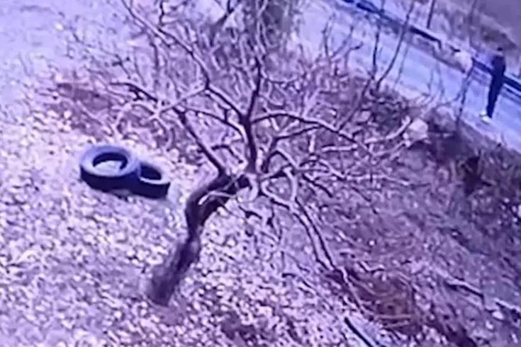 Kendisine doğru koşan köpeği tüfekle vurup öldürdü