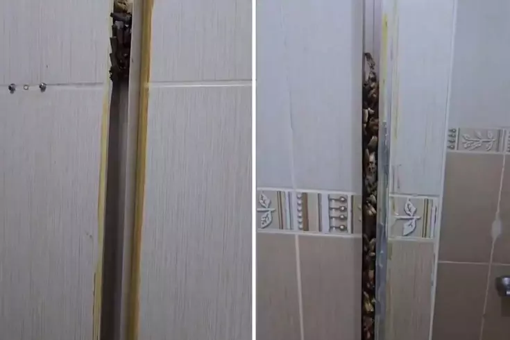 Öğrencilere kiraya verdiği eve giren kadın, gördüğü manzara karşısında sinir krizi geçirdi