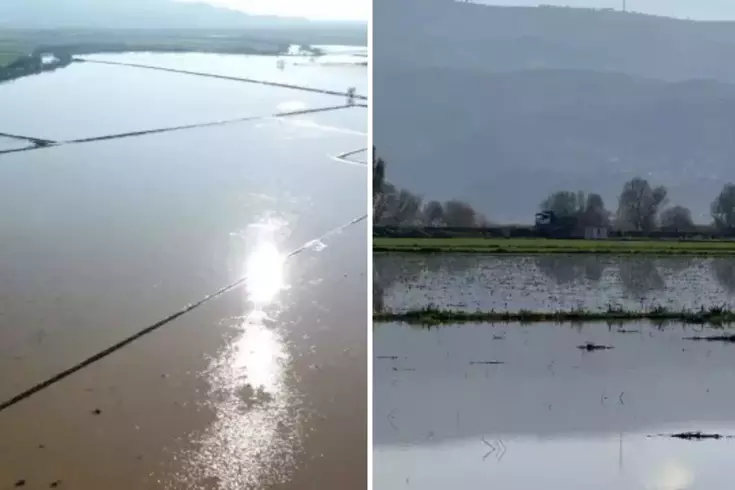 Büyük Menderes Nehri'nde taştı, 2 bin dönüm tarım arazisi sular altında kaldı