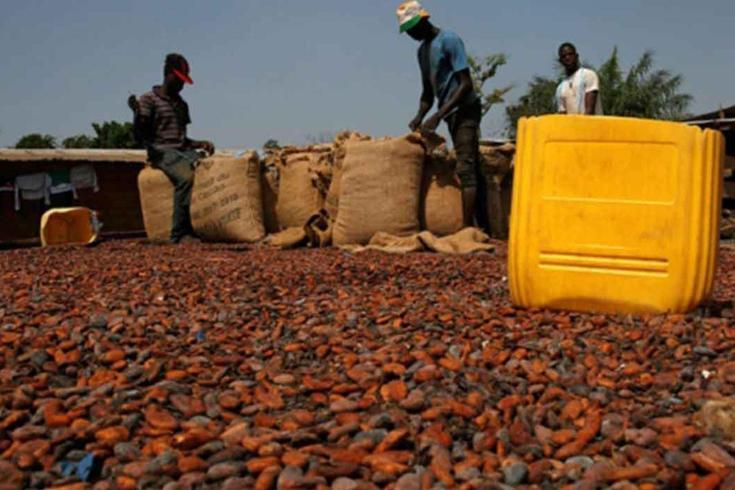 Türkiye yetiştirmediği kakaodan 1,7 milyar dolar kazandı