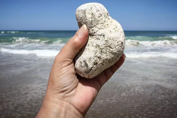 Sıradan bir taş gibi gözüküyor, sahillerde bulan köşeyi dönüyor