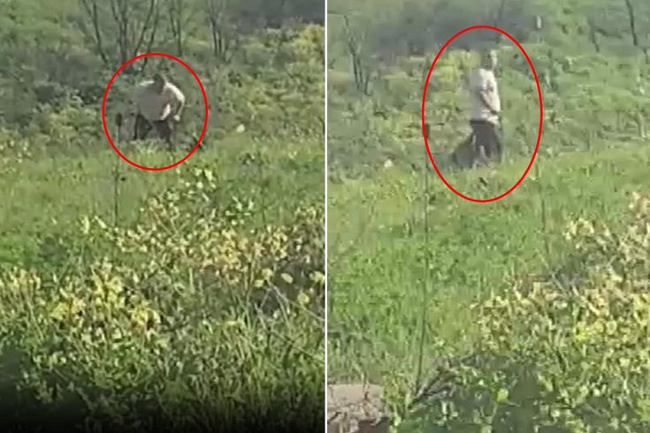 Avcılar'da köpeğe kemerle şiddet uygulayan şüpheli aranıyor