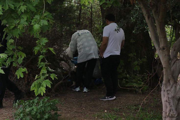 Ağaç altında ölü halde bulundu