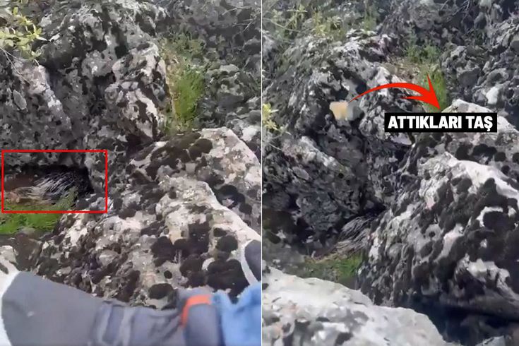 Diyarbakır'da bir garip olay! Korkup taşa tuttukları şey bakın ne çıktı