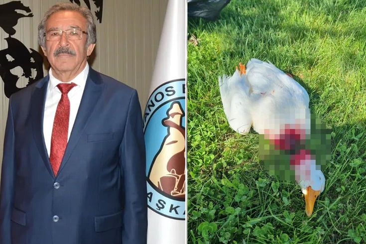 Kızılırmak kıyısında vahşet! Belediye başkanı görünce çıldırdı