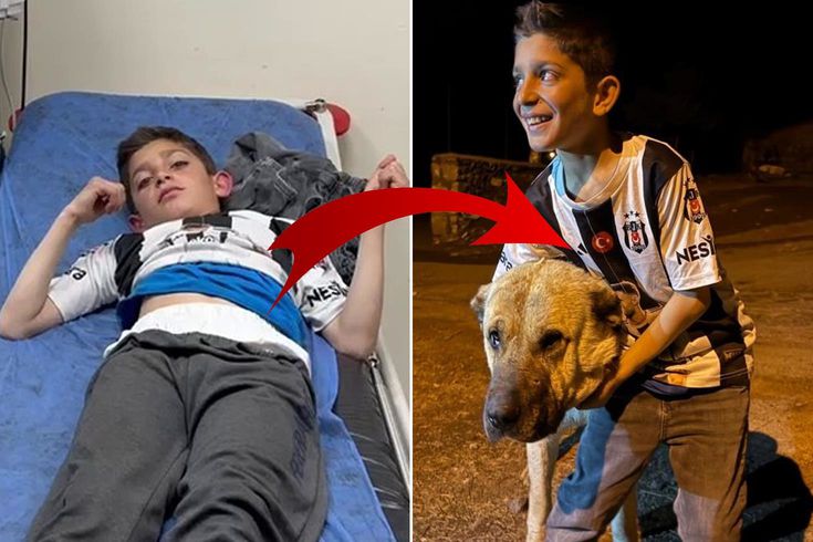 Köyün kahramanı! Kral, bu kez 10 yaşındaki Sencar'ı kurtardı
