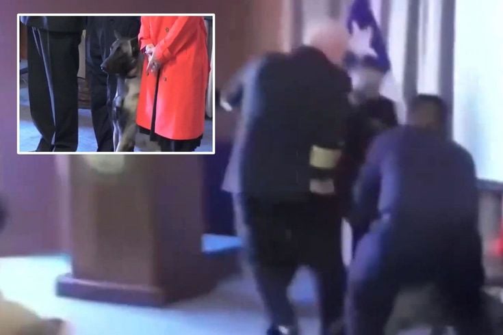 Narkotik köpeği mezuniyet töreninde tümamirale saldırdı, Cebinde ne vardı sorusu ülkeyi karıştırdı