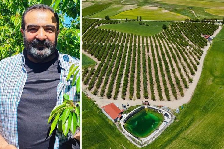 İlçenin başına talih kuşu kondu! Japonya'ya 200 ton ürün gönderecekler
