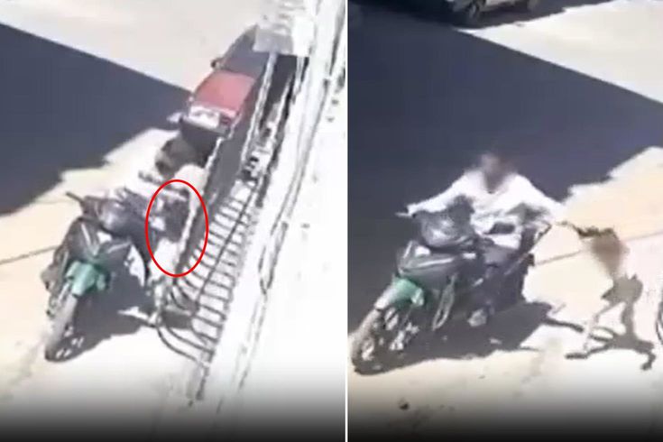 Gaziantep'te kızını darbedip saçından sürükleyen baba gözaltına alındı