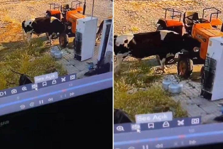 Yer: Konya! Görüntüsü olmasa kimsenin inanmayacağı bir olay daha