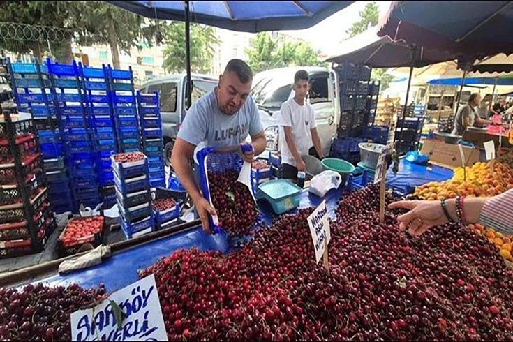 Festivalde cep yakan kiraz pazarda 70 liraya düştü! Vatandaş tezgahlara akın etti