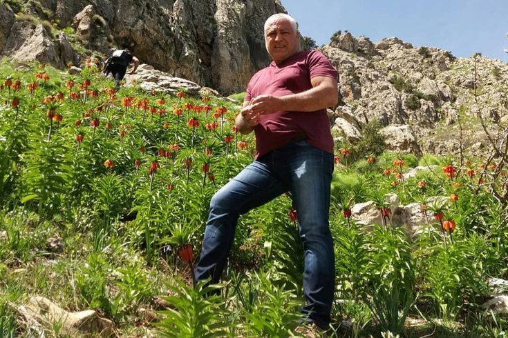 Mantar toplamak için çıktığı dağda ölü bulundu
