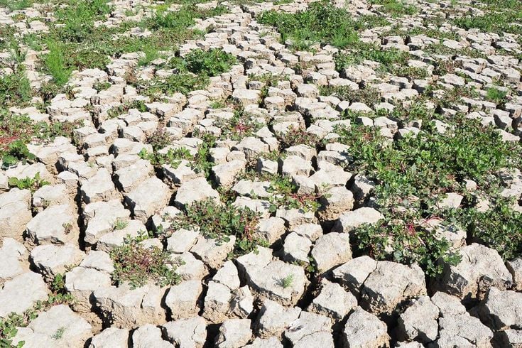 4 yıl önce kuruyan Marmara Gölü'nün son hali mest etti