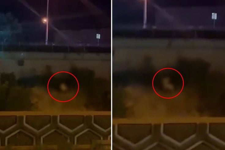 Görüntü Türkiye'den! Kimseye aldırmadan yol kenarında cinsel ilişkiye girdiler