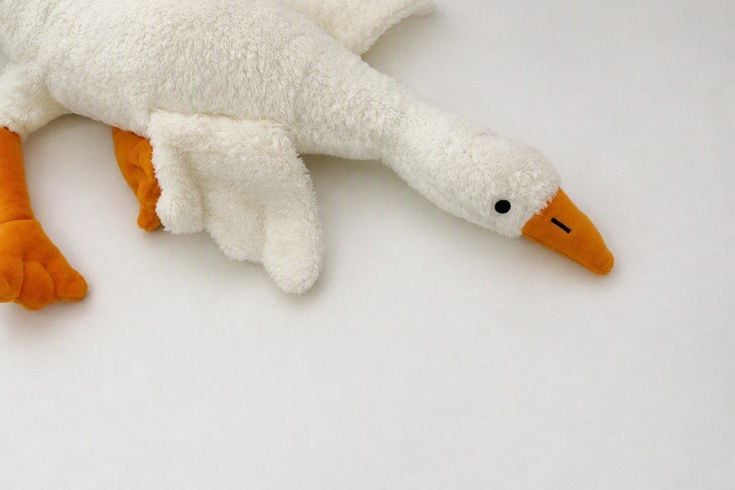 Bakanlıktan 'peluş kaz' oyuncağına yasak ve toplatma kararı