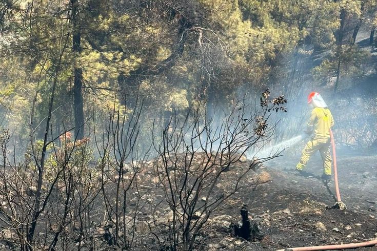 Balıkesir'de yangın felaketi! Ormanlık alana ulaşması son anda engellendi