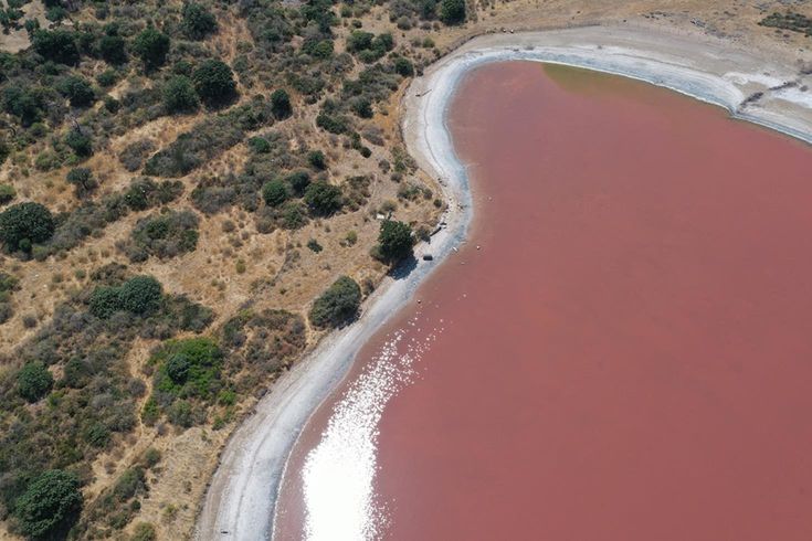 Dünyadaki sayılı mucizelerden: 2 bin yıllık antik liman pembeleşti