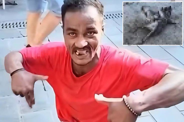Üsküdar'da dehşet! Falçatalı cani martıyı ağır yaraladı