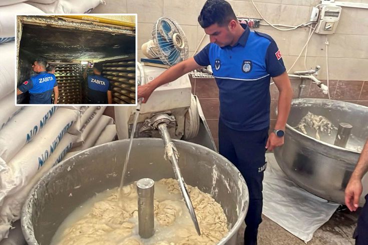 Fırında mide bulandıran manzara: 17 ayrı ceza kesildi