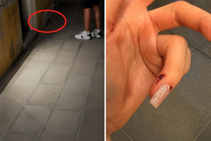 Venedik'te İtalyan adamın fırlattığı fare, Rus turisti ısırdı
