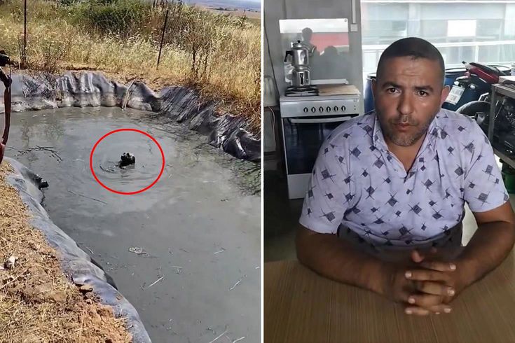 Köpekleri boğulmaktan kurtaran vatandaşı işten kovdular