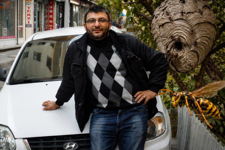 Eşek arıları mobilya ustasının sonu oldu: Yuvalarına sıcak su dökünce...