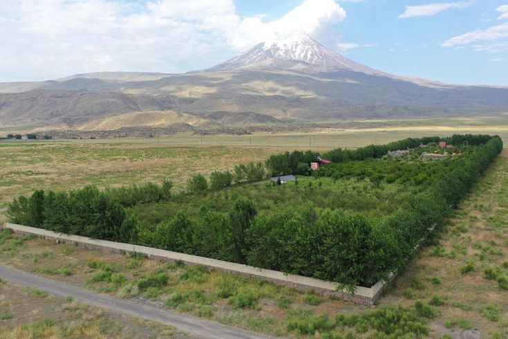 Ağrı Dağı'nın yakınlarındaki çorak araziye kurulan bahçede meyve hasadı yapıldı
