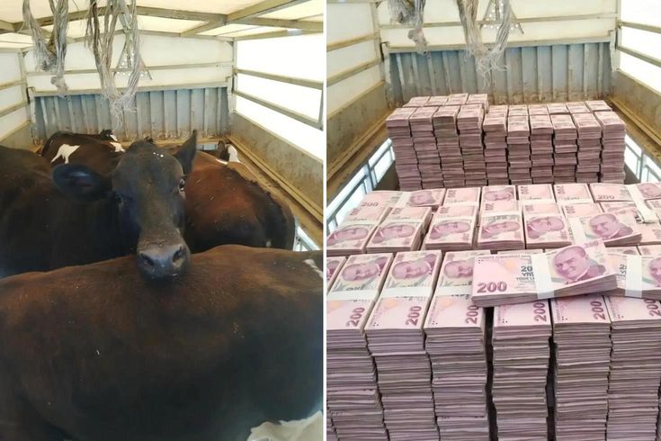 Düştüğü not manidar! Kayserili besicinin paylaşımına bakın