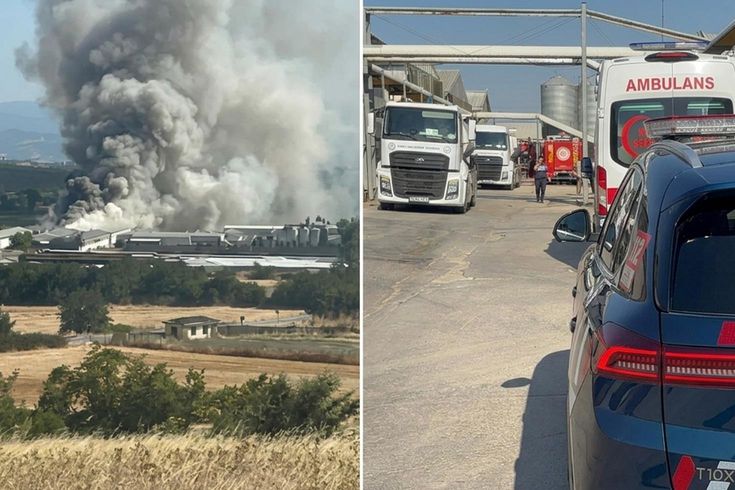 Mudanya'da tavuk çiftliğinde yangın: 12 bin tavuk telef oldu