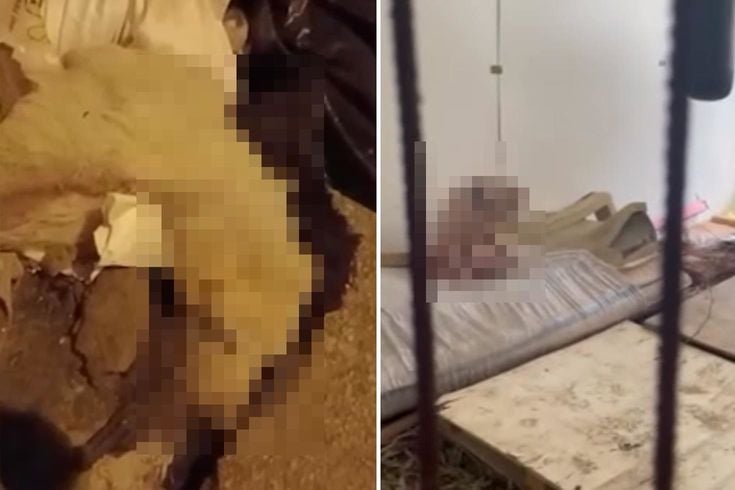 Pire istilasına uğrayan sokakta kan donduran görüntüler