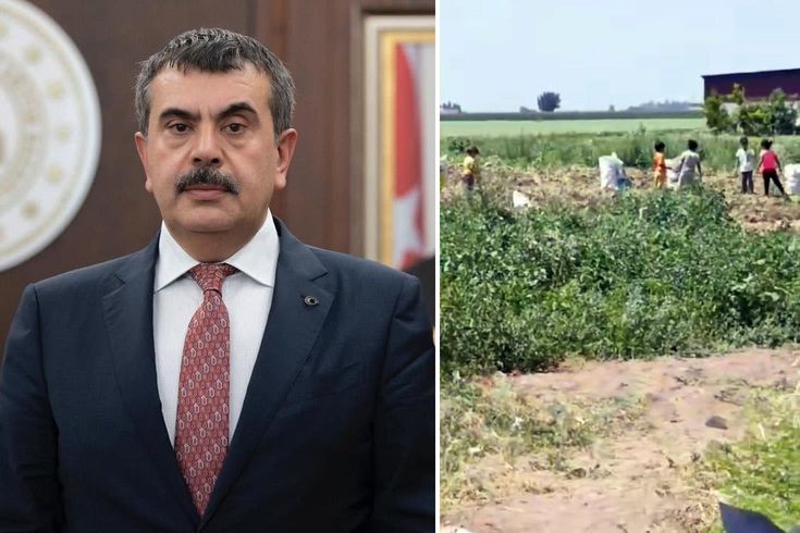 Hatay Kumlu'da vahim iddialar! Bakan Tekin'e çağrıda bulundular: Lütfen bu duruma el atın