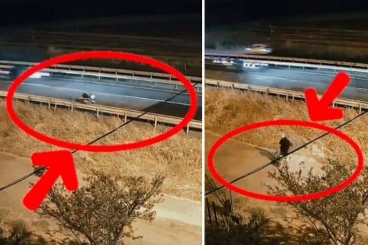 Aküsü bitince durağın arkasına bırakıp gitti: Haftalar sonra döndüğünde hayatının şokunu yaşadı