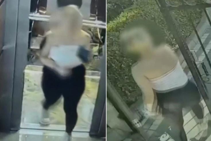 Balkız tuzağı! Kameralar tüm rezilliği kaydetti