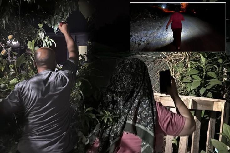 Koca ilçe 6 aydır diken üstünde! Geceleri ortaya çıkıyor, mahalleli nöbette