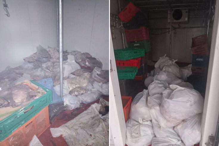 Bodrum’da kötü koku ihbarı ekipleri harekete geçirdi: 400 kilo bozuk ete el konuldu