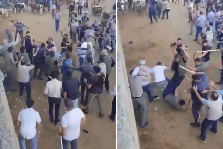 Canlı hayvan borsasında öldüresiye kavga