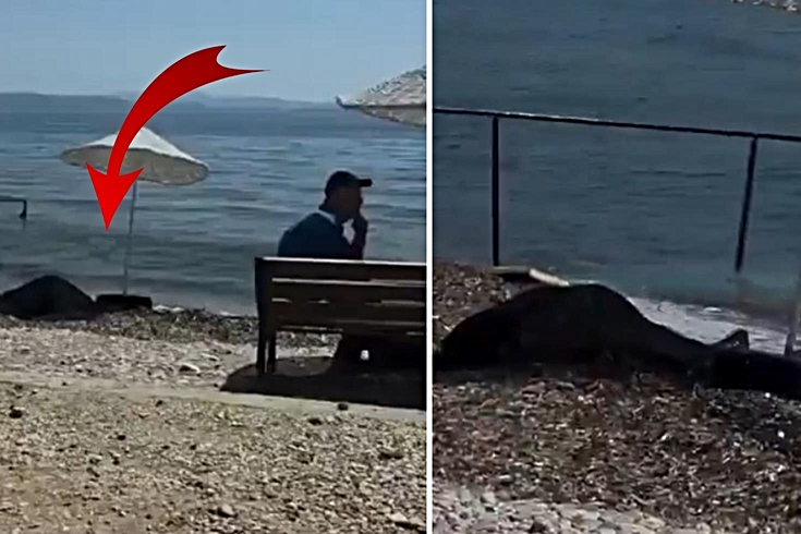 Kadının cansız bedeni kıyıya vurdu, hiçbir şey olmamış gibi oturmaya devam ettiler