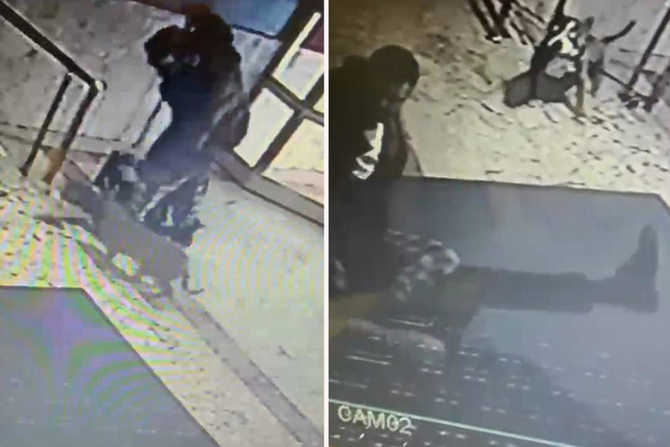 Pitbull korkusu site sakinlerini bezdirdi! Ailelerin yardım istediği kaymakama saldırı kamerada