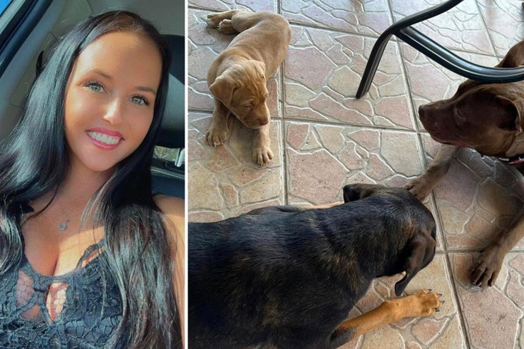ABD'de iki çocuk annesi kadın, eşi tarafından köpeğiyle ilişkiye girerken yakalandı