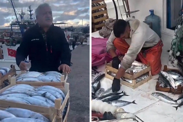 Karadeniz bereketi tezgaha vurdu! Palamut 50 liraya kadar düştü