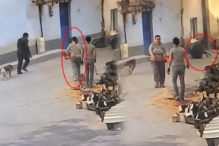 Motorlu testereyle üzerine koştu, 76 yaşındaki adam kabusu yaşadı