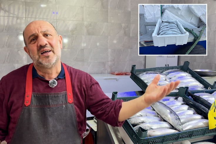 Strafor köpük kasasının fiyatı palamuttan 3 kat pahalı